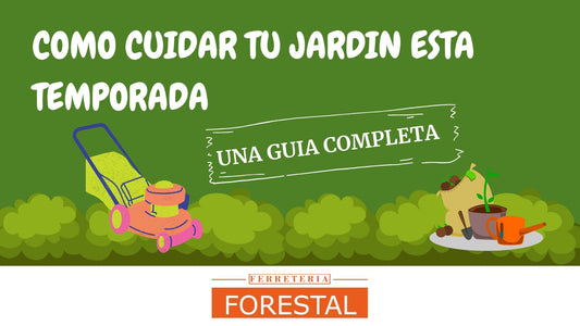 Como cuidar tu jardín esta temporada